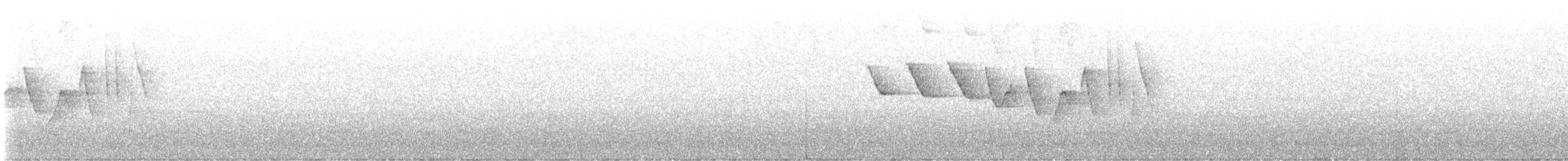 Трясогузковый певун - ML571759021
