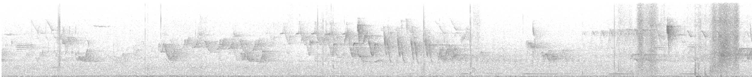 キタミズツグミ - ML571812261