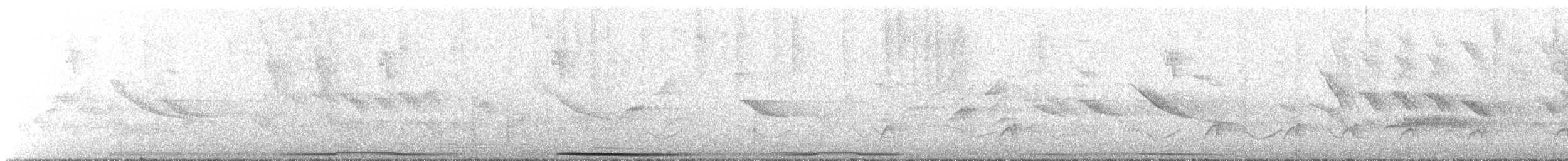 holub grenadský - ML571816941