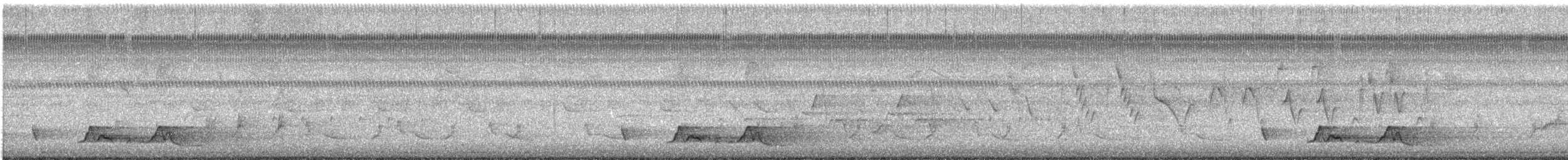 Carolinanachtschwalbe - ML571830101