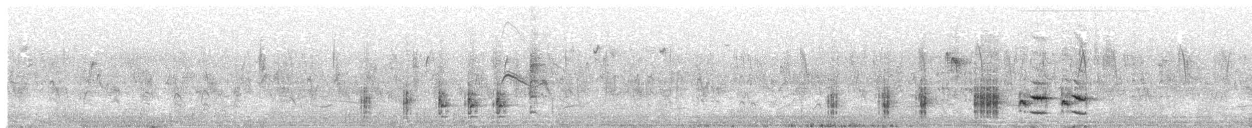 Great Reed Warbler - ML571835331