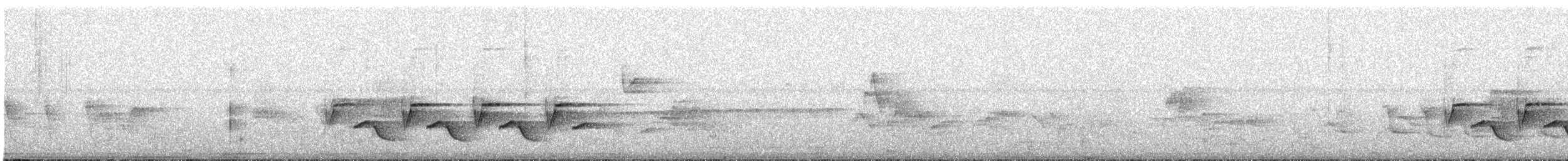 Поплітник каролінський - ML571837891