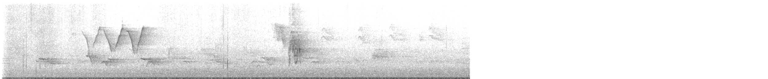 American Redstart - ML571843061