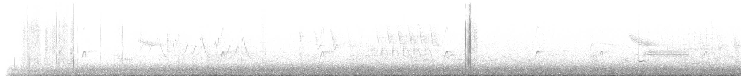 Американский бекасовидный веретенник - ML571848151