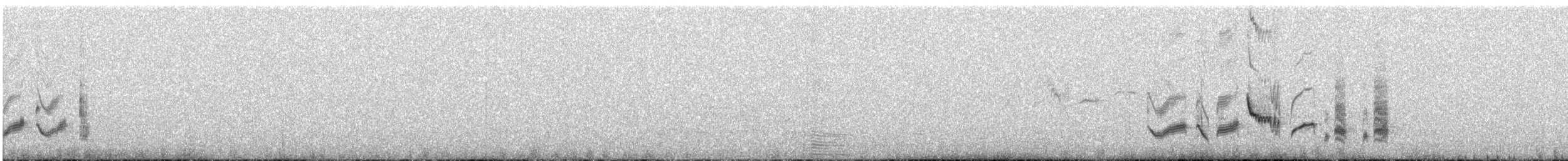 Western Orphean Warbler - ML571883851