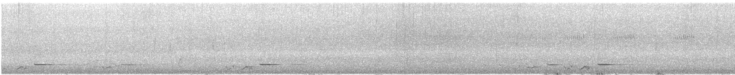 Siffleur gris - ML571889021