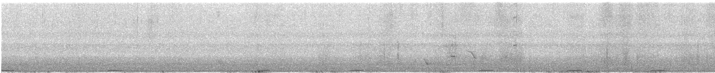 holub pestrokřídlý - ML571889441