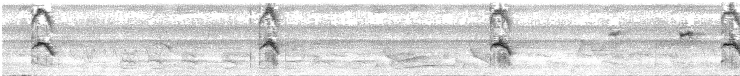 Тапіранга білодзьоба - ML571901551