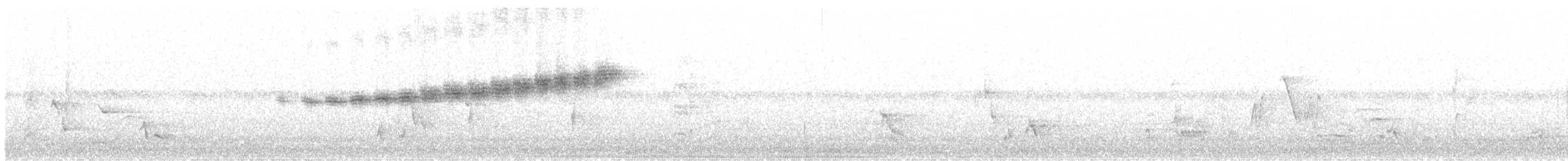 Prairie Warbler - ML571927681