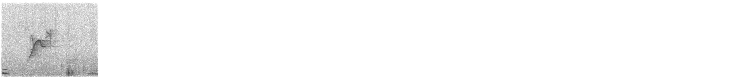 Batı Amerika Sinekkapanı (occidentalis/hellmayri) - ML571962771