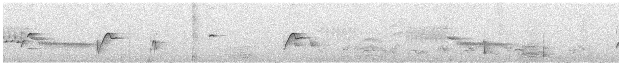 Batı Amerika Sinekkapanı (occidentalis/hellmayri) - ML571962921