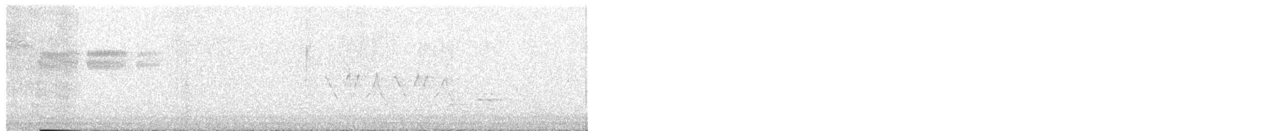 Brewster's Warbler (hybrid) - ML571968171