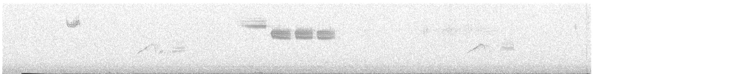 Brewster's Warbler (hybrid) - ML571969301