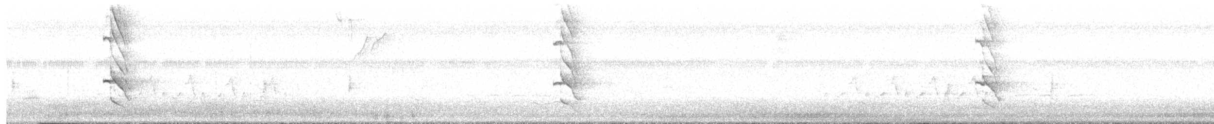 Шилоклювый дятел (auratus/luteus) - ML572005381