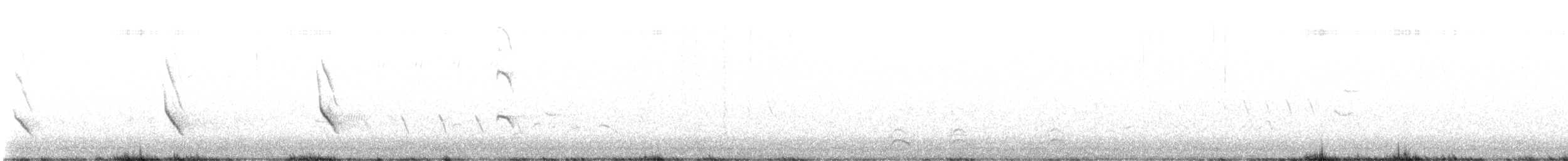 orlovec říční (ssp. carolinensis) - ML572028381
