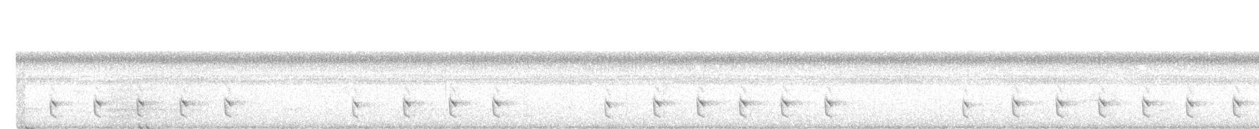 Long-tailed Tapaculo - ML572049171