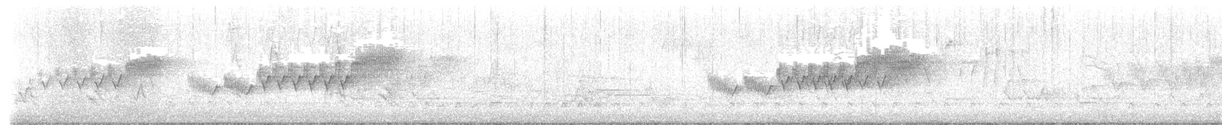 Cerulean Warbler - ML572071211