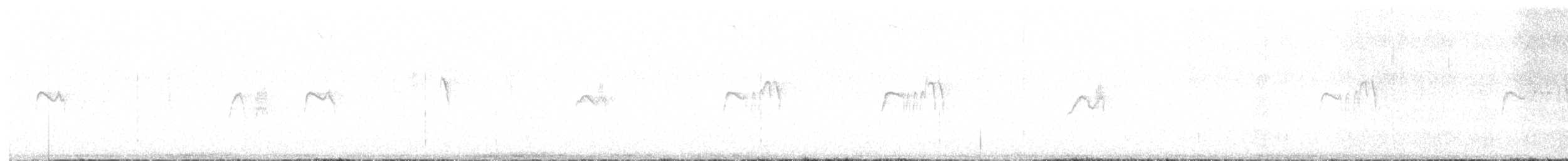 Чёрный x Светлобрюхий фиби (гибрид) - ML572107521