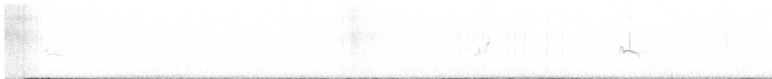 Чёрный x Светлобрюхий фиби (гибрид) - ML572107531