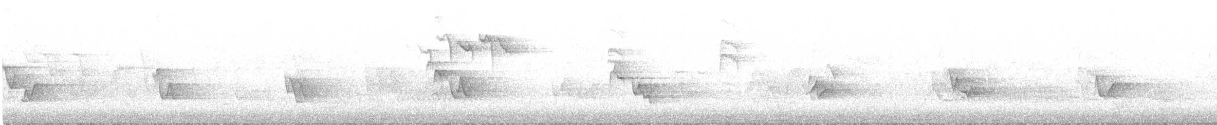 Bay-breasted Warbler - ML572121661