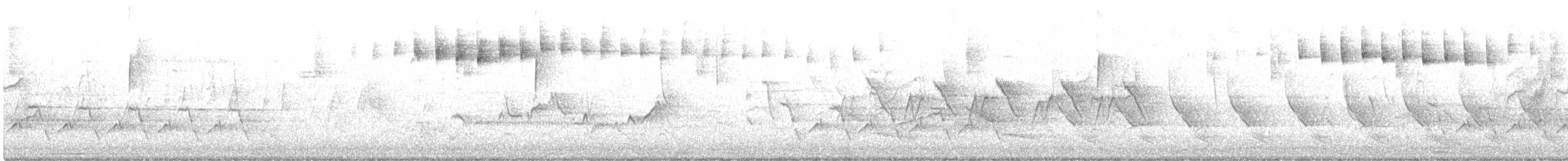 Blackpoll Warbler - ML572122731