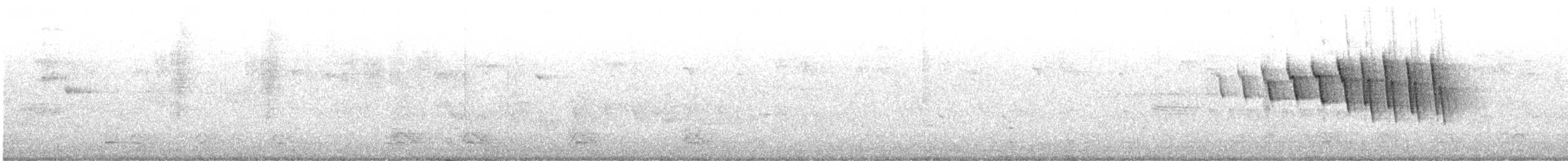 Болотянка мала (підвид chryseola) - ML572139571
