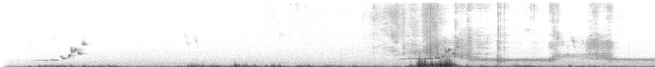 Широкохвістка маньчжурська - ML572148051
