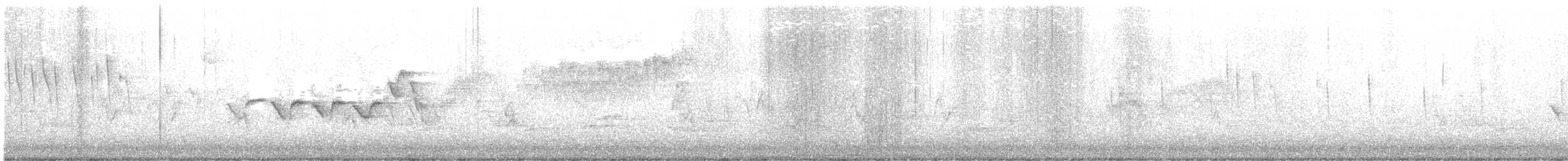 Hooded Warbler - ML572169381