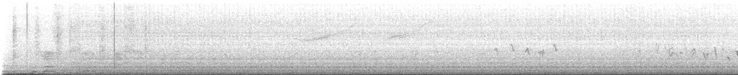 Brown-crested Flycatcher - ML572330611