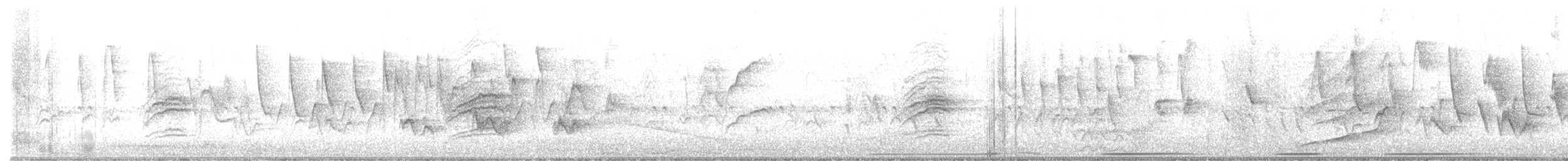 Hermit Thrush - ML572332121