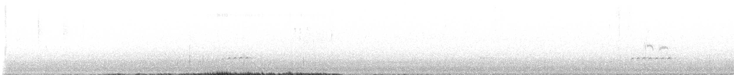 Weißbrustkleiber [lagunae-Gruppe] - ML572350071