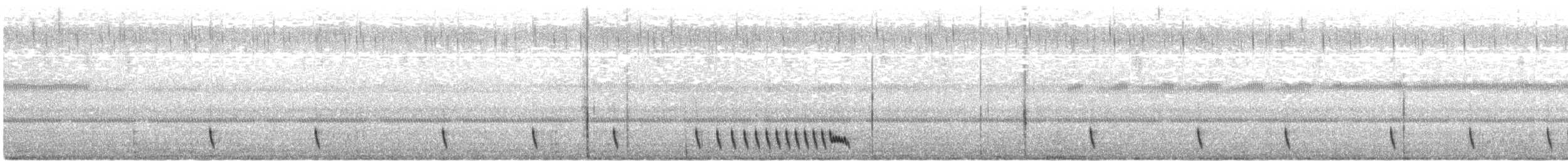 Chotacabras Hindú - ML572361281