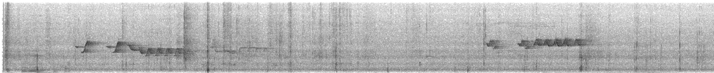 Скриточуб гімалайський - ML572389901