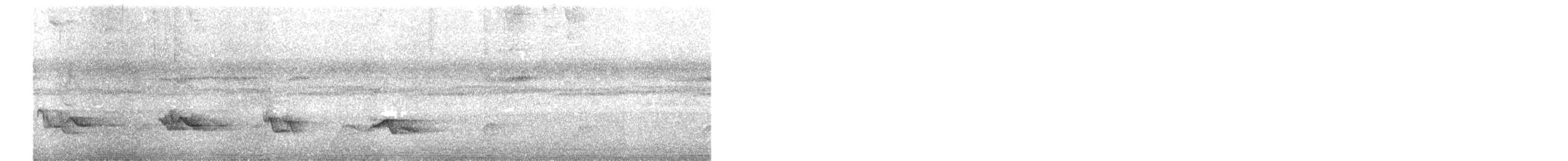 Black-billed Thrush - ML572398851