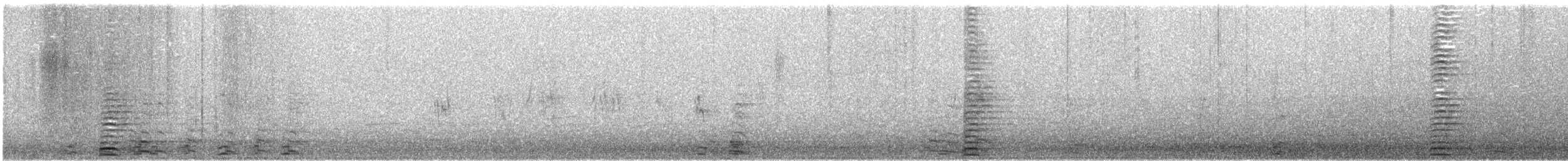Cisne Trompetero - ML57240271