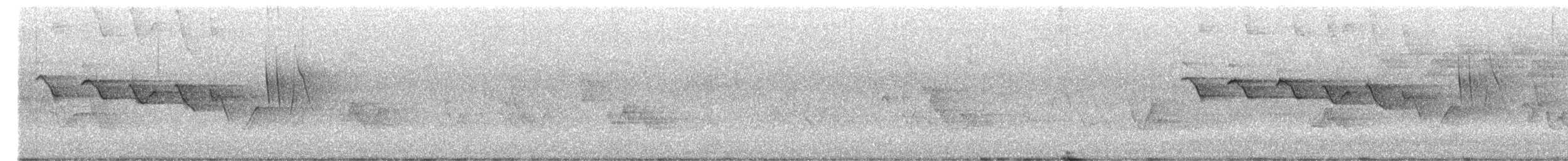 Смугастоволець білобровий - ML572405301