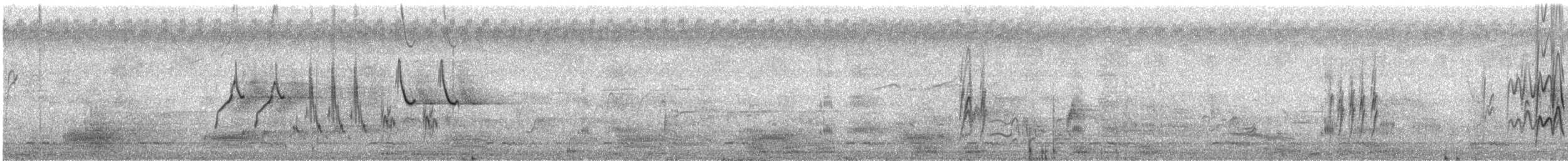 White-browed Wagtail - ML572415741