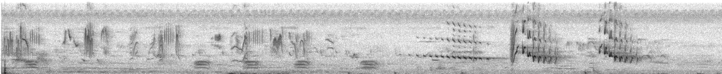 Wire-tailed Swallow - ML572416471