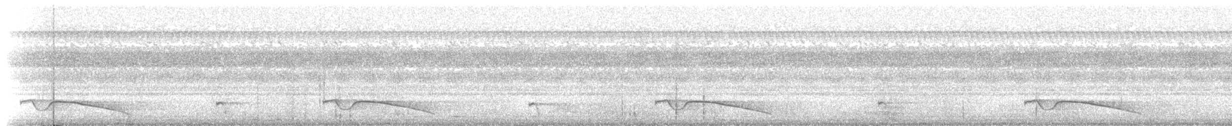 Riesennachtschwalbe - ML572419481