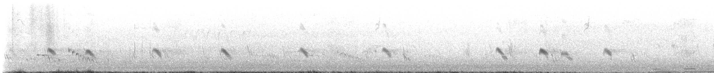 Büyük Mor Kırlangıç - ML572462251