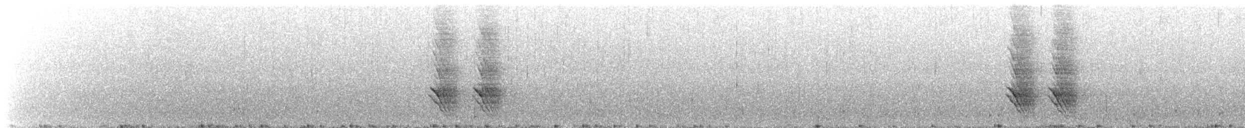 Weißbandhäher - ML572463681