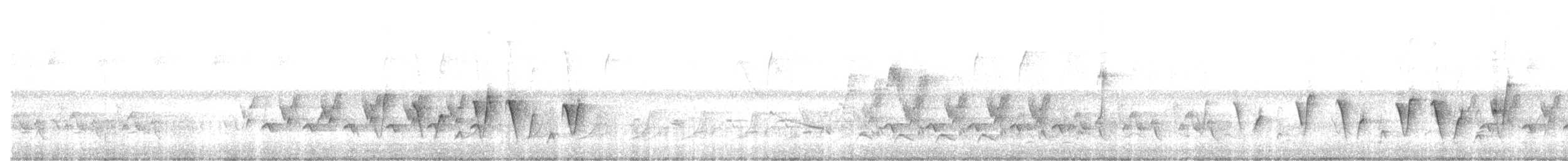 Connecticut Warbler - ML572470531