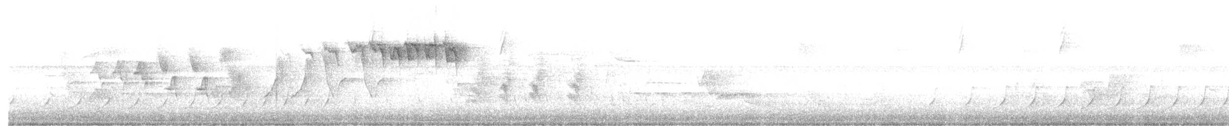 Bay-breasted Warbler - ML572471641