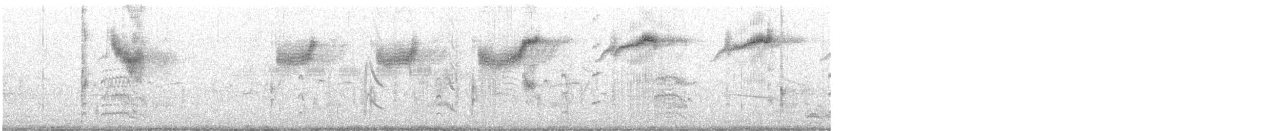 Common Tern - ML572471691
