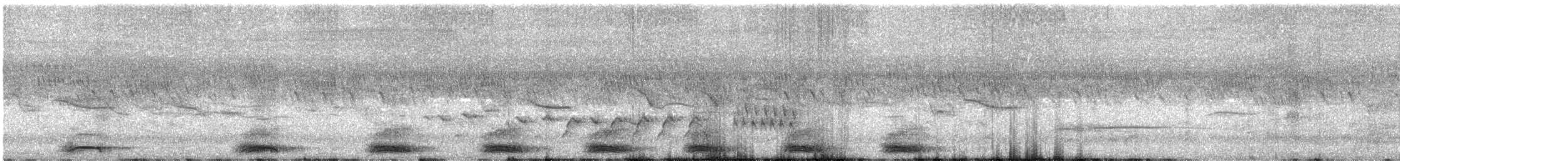 Schalow's Turaco - ML572474381