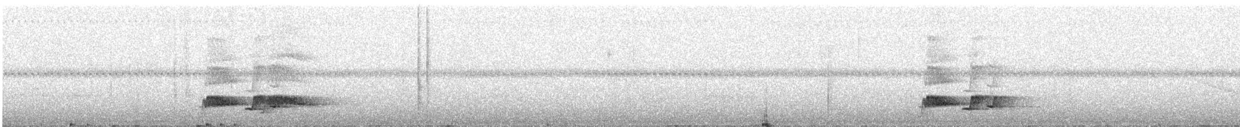 Каштановый скрытохвост - ML572485361