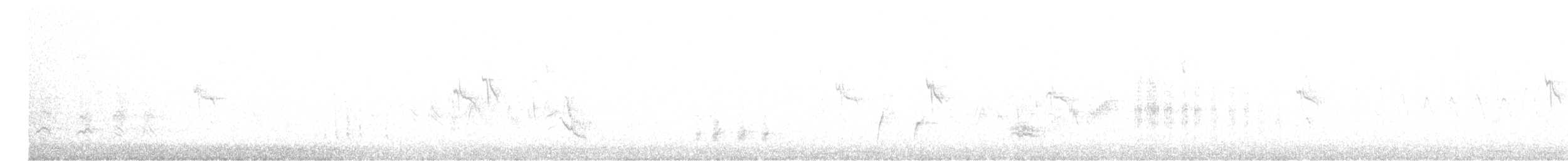 Ictérie polyglotte - ML572509641
