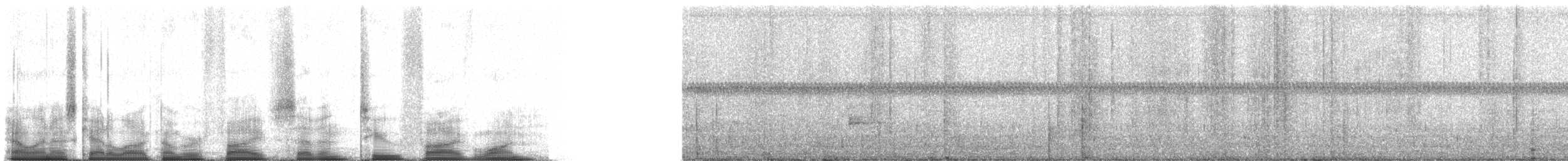 Шлемоносный казуар - ML57251