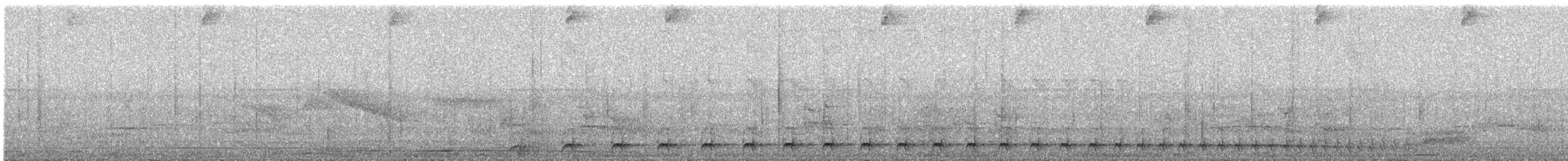 Weißbrust-Ameisenwürger - ML572511061