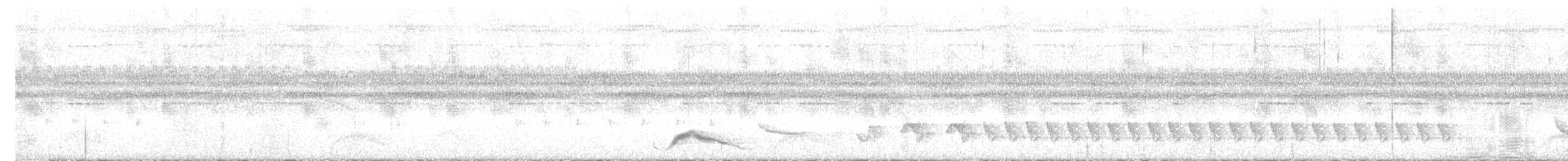 Pauraquenachtschwalbe - ML572511821